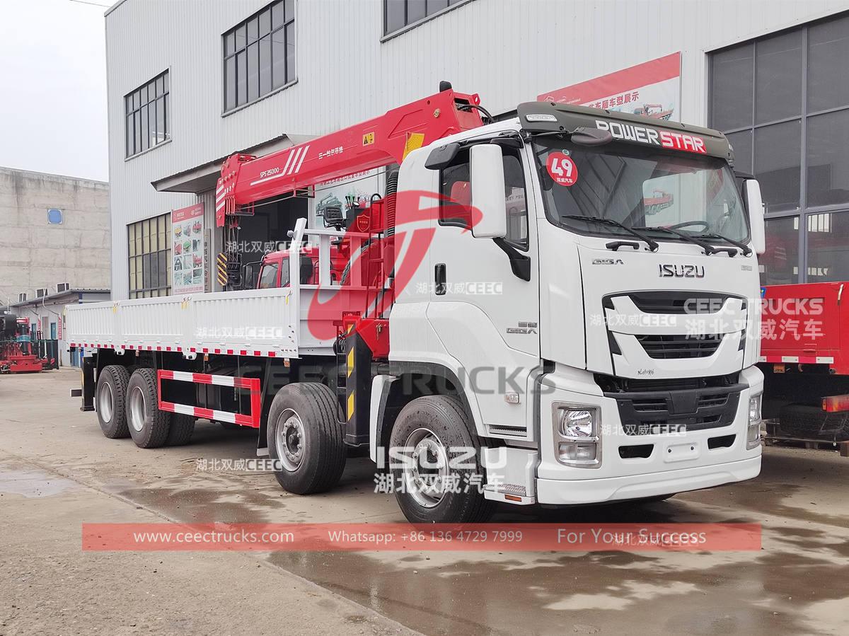 Custom-made ISUZU GIGA 12 wheeler crane truck with Palfinger 10 tons boom