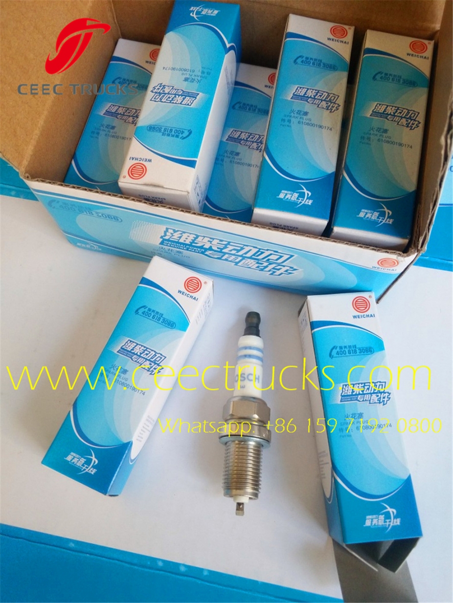 Heavy beiben truck engine spark plug 612600190535 supplier