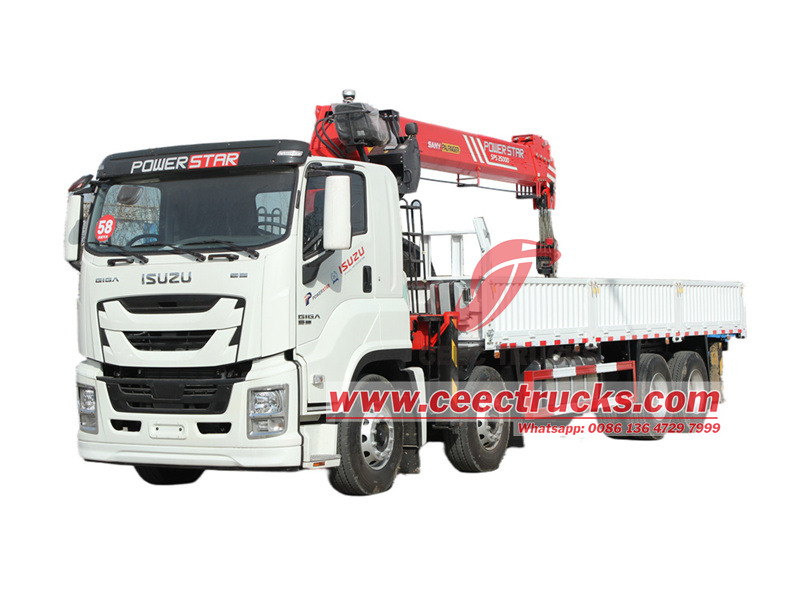 Isuzu Crane Truck