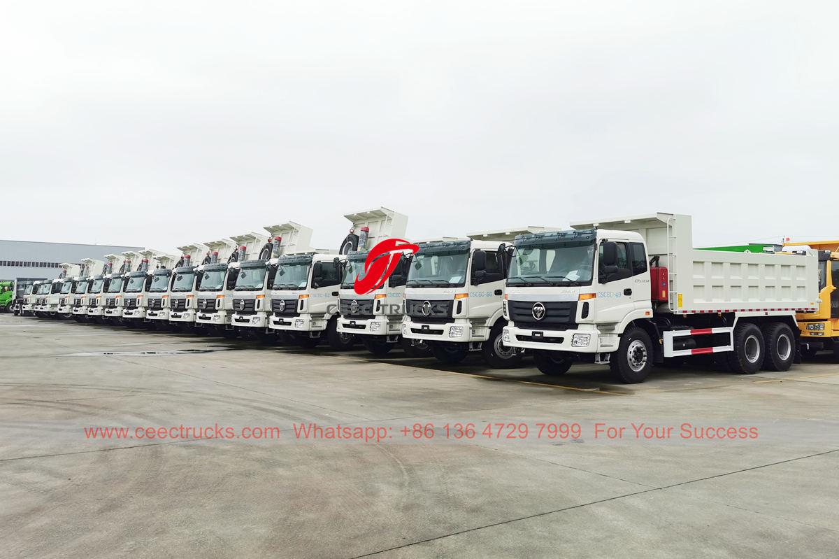 Algeria-30 units FOTON dump truck ang na-export